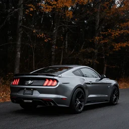 gray mustang, black background, backshot, autumn, woods, 4 k,