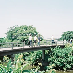 3 japanese men walk on a bridge on the left with bright greenery to their right below the bridge on a sunny day, 3 5 mm film, photograph, wide shot, ethereal
