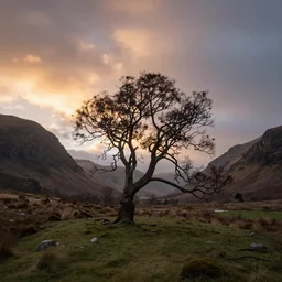 landscape scotland photography by marc adamus, lonely tree, sunrise, dramatic lighting, mountains, clouds, beautiful, 1 6 mm lens, canon 5 d