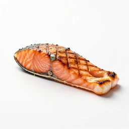 hand-painted grilled salmon, clean 3d render, octane render, isolated on a pure white background, centered, entire object in frame, sharp focus, soft studio lighting