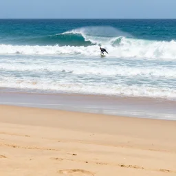 sandy beach, big wave surfing,