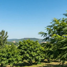 Beautiful landscape with trees and hills in the distance, daylight and clear blue sky, trees blowing in the wind. digital art, very detailed, trending on artstation, 4K wallpaper