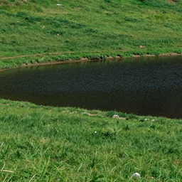 photo field with Lake with black water in center reality