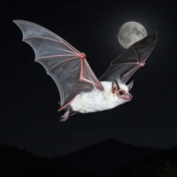 hyper realistic white fruit bat, flying against a dark black night sky, mountain in the background, moonlight, denoised, very detailed, painted by, norman rockwell, tom bagshaw