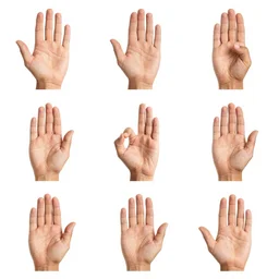 a set of 9 hand poses of powerful mudras