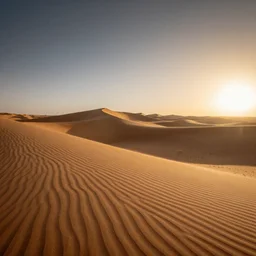 the desert daybreak
