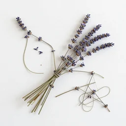 by anne truitt random lavender. a beautiful assemblage. it turned out that some crooked things looked even worse when straightened. some tangled knots only made sense once unraveled.