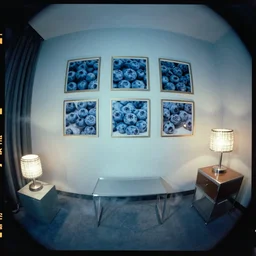 kodak portra 4 0 0, wetplate, 8 mm extreme fisheye, award - winning colour portrait by britt marling : a 1 9 6 0 s room, blueberry, square square picture frames, haze, concrete, shining lamps, 1 9 6 0 s metal furniture, no people, smoke