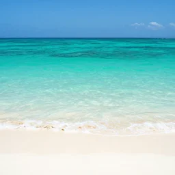 a beautiful tropical beach with a stunning turquoise ocean in the background, digital art, highly detailed, realistic, bright colors, 8 k