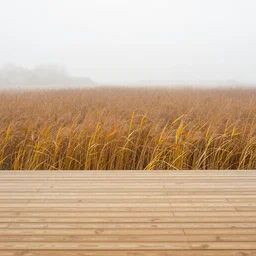 Broad wetland view covered in morning fog with yellow reedbeds and a wooden birdwatching tower in the middle, autumn morning, vivid autumny colors, realistic digital illustration