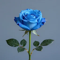 photo of iridescent blue rose, grey - blue background, green stalk, glitch artifacts, laconically photorealistic, realistic, detailed, 4 k, 8 k, 1 6 k, hdr, high quality, high resolution, lossless, lossless quality