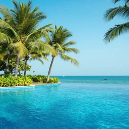 a beautiful day at a tropical pool,colorised,photograph