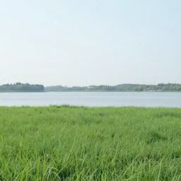 photo grass with a lake in the center
