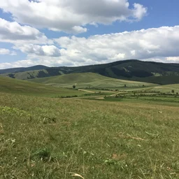 an unreal landscape