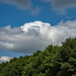 blue sky, green trees and clouds