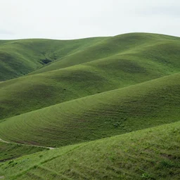 a high resolution photo of a beautiful landscape