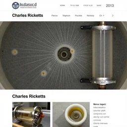 2013 a digital rendering featured on flickr a screenshot of a website page for a real estate agent by Charles Ricketts filmic folliculitis ultrafine detail effluent gelatine filter biofilms fluxus