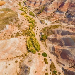 aerial overhead shot of beautiful badlands dirt with tuftgrass in a colorful vector art style