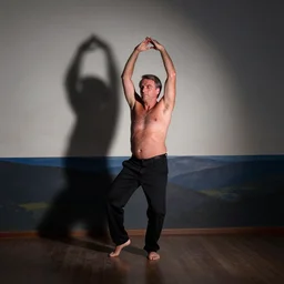bolsonaro doing belly dancing