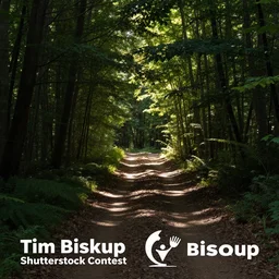 a dirt path in the middle of a forest by tim biskup, shutterstock contest winner, naturalism, flickering light, high dynamic range, creative commons attribution