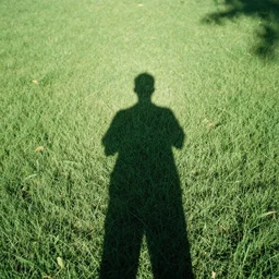 shadow person figure standing in meadow of grass, film photo, grainy, high detail, high resolution