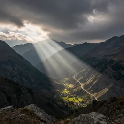 image by thomas peschak