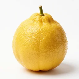 high quality studio photography of etrog, citron, bright solid background