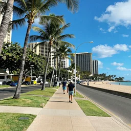 waikiki beachwalk street