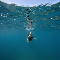 looking up at the surface of the sea from underneath