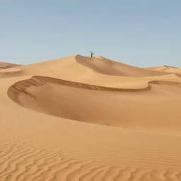 An infinite desert with dunes, ripples, a single dead tree atop a dune, fantasy painting