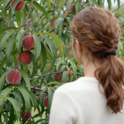 emma watson from behind checking her peach tree