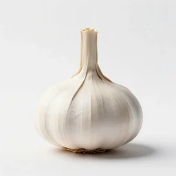 origami-style garlic bulb, stylized 3d render, isolated on a pure white background, centered, entire object in frame, sharp focus, soft studio lighting