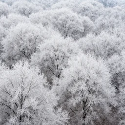 a fantasy landscape with white beautiful trees