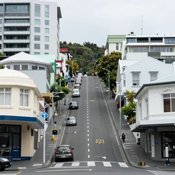a very steep street in wellington, new zealand with multiple building covered in living walls made of endemic new zealand plant species. patrick blanc. windy rainy day. people walking in raincoats. 1 9 0 0's colonial cottages. harbour in the distance.