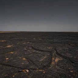 a desolate plain with scorched earth, realistic, moody and dark