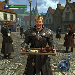 chris morris delivers news in the town square, 3 dcg, skyrim, oblivion, morrowind, pc game, gameplay screenshot