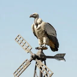 a vulture made of stone, perched on a windmill, 8 mm, award winning photograph