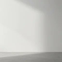 maximum minimalism