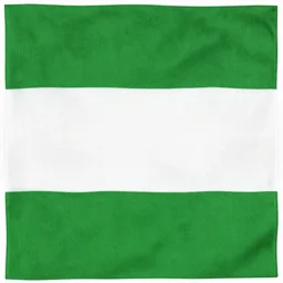 bicolor flag with two equal horizontal bands