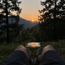 calm peaceful wooded mountain during sunset, 8k hd, light reflection, relaxing, alone, first person