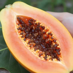 photo of papaya with red botryoidal agate fillings, outdoor lighting, 8 k