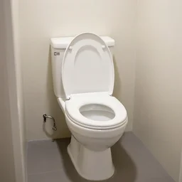 the world's most beautiful toilet