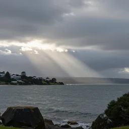 a typical day out at Days Bay in Lower Hutt, New Zealand