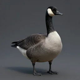 tonemapped gothic canadian goose!!! boss by artstation