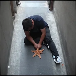 footage from security camera, of a man strangling a starfish to death in an alley.