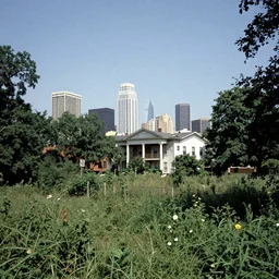 overgrown american city in the late 90\'s, eye level shot