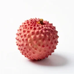 elegant lychee, professional product shot, isolated on a pure white background, centered, entire object in frame, sharp focus, soft studio lighting