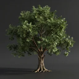 2 0 0 year old tree, yggrdasil, octane render, dramatic lighting