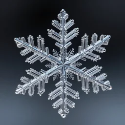 macro photography, highly detailed, intricate, snowflake, award winning