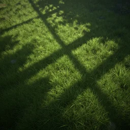 video game grass texture